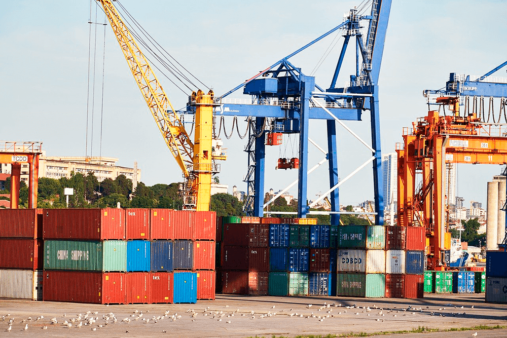  venda de container direto do porto